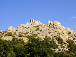 tour in bicicletta aggius